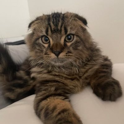 ryouya396's profile picture. 