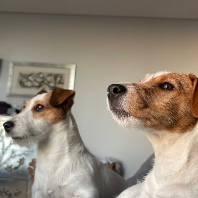 Geomarsan's profile picture. 