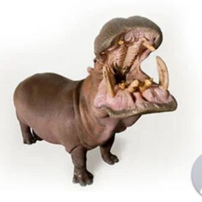 Pawe60144099's profile picture. 