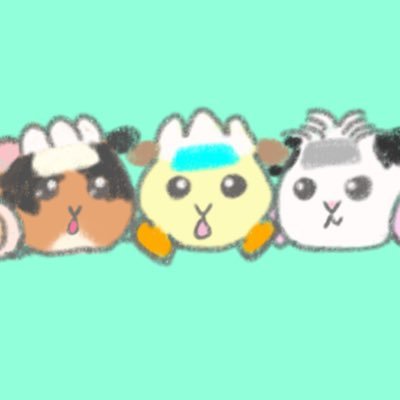 きゅきゅ首領（ドン）さんのプロフィール画像