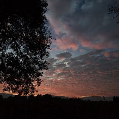 i_avn13's profile picture. La vida es como un espejo, te sonrie si la miras sonriendo ツ