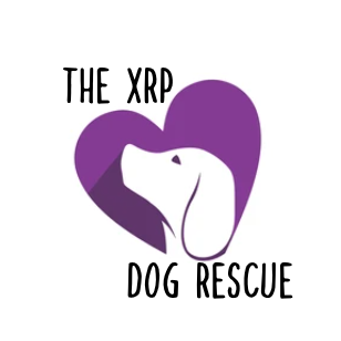 XRP Dog Rescue Center helps save local animals works with others. The First Rescue shelter for Animals on the XRPL to receive NFTs For Virtual Pet Adoption.