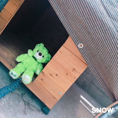 Mariyo_0119's profile picture. ときめいた犬をRTするアカウント /将来自然豊かなところで多頭飼いして動物の命に携わる職につきたい /バーニーズに魅了されてる可愛い/ 大型犬がすき