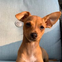 Tiferish HH (@mish1121) 's Twitter Profile