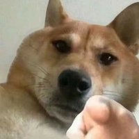 qwerty (@whatrudoing1232) 's Twitter Profile