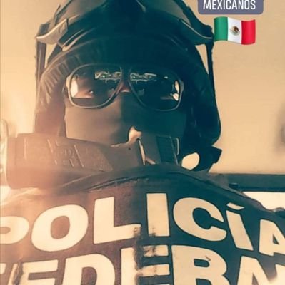 Medio de información para integrantes de la Policía Federal y sociedad en general.