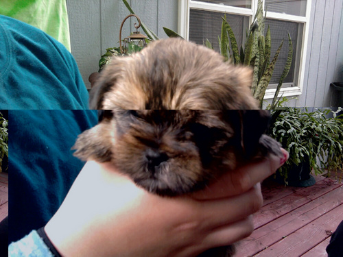 lkbene's profile picture. My passions: God's presence, His Word, my seven beautiful children, My Mentors: Harold Eatmon & Dr.Mike Murdock,John C Maxwell Lighthouses, Waterfalls,Ships....