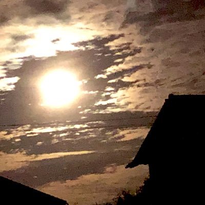 いつみさんのプロフィール画像