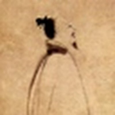 ChungIKuo2's profile picture. 