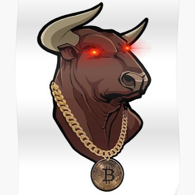 XO_Crypto2020's profile picture. 