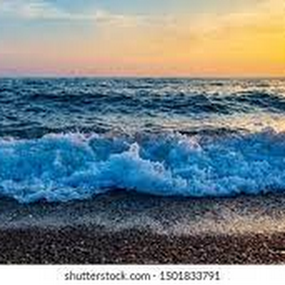 tryjxydygtusi's profile picture. 