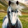 Wh4J0MEbBbLJ6lY's profile picture. 復活しました