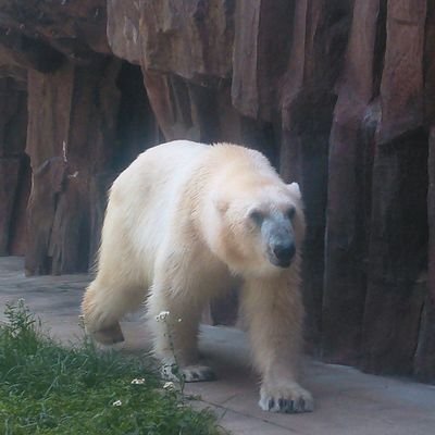 hiro730501's profile picture. よろしくお願いします！