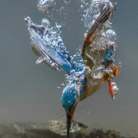 م . صالح الغامدي (@slearahj) 's Twitter Profile