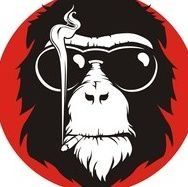 roybejjani93's profile picture. Bassist🎸 ---Music Producer🎵---
3D Noob ⬛