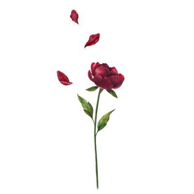 jaeshikawa's profile picture. 🥀 ur aussie flowergal 🥀 | 🏐 石川祐希🌹|                         

+ nct jaehyuns browbone