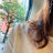 illy_miutas