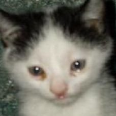 privateambience's profile picture. mental illness museum