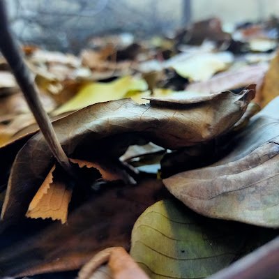DPython8's profile picture. 