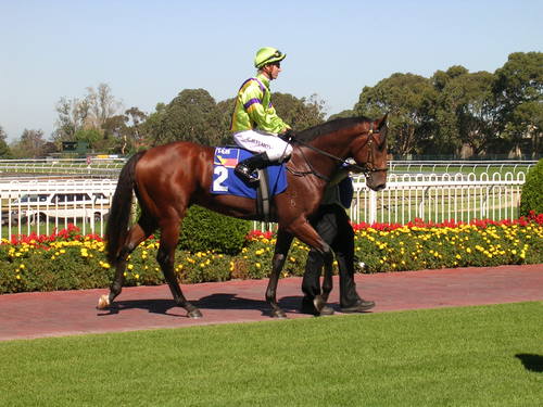 adambruhn's profile picture. 