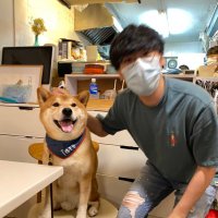 Murakami (@har0ldmh) 's Twitter Profile