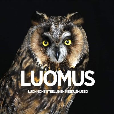 luomus Profile Picture