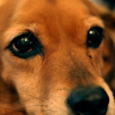 mggyR2VYJp9uLY0's profile picture. ガンダムクロスブーストやってます！まだまだ強くなりたいから固定とか店外出来たら嬉しい！気軽に声掛けてください
無言フォロー歓迎です！逆に無言フォローよくするのでその時はよろしくお願いします！