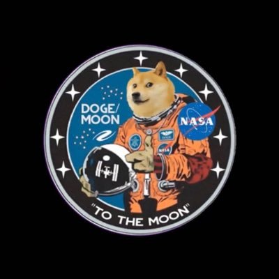 Doge doo doo doo doo doo doo doo…