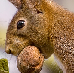 MonicaScarts's profile picture. 