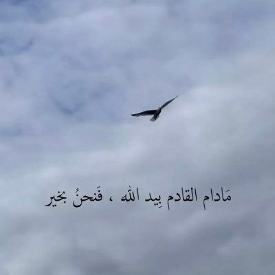 googoo45404601's profile picture. لا تنس أن تُلح بـ " اللهم اهدِ لي قلبي"..فإنه والله لو هُدِي قلبك هان عليك كل شيء."❤️