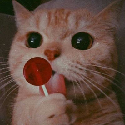 Usukhireedui13's profile picture. No alcohol