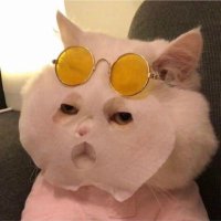 po (@sofiahshd) 's Twitter Profile