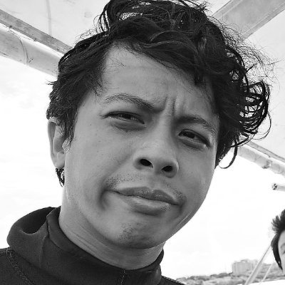 AkoNiAlain's profile picture. Just be a rock.