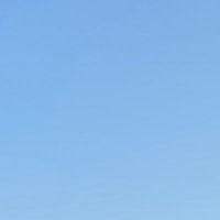 slsmwlsn (@cengizhanakgn10) Twitter profile photo