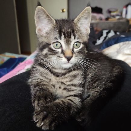 tanya_mccomb's profile picture. 