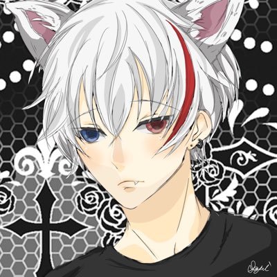 †影猫†&❀青猫✿&†黒猫†さんのプロフィール画像