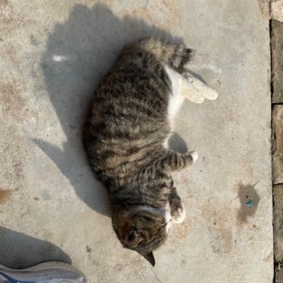 wugongsjm's profile picture. 