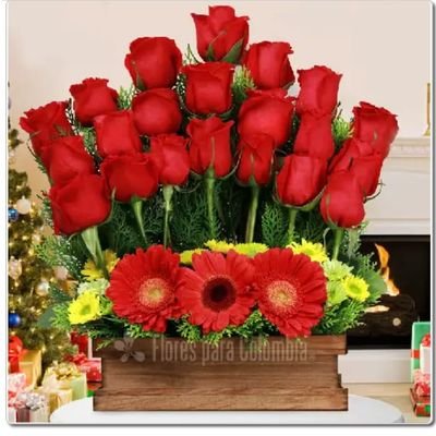 alcides5455508's profile picture. Trabajar  leer bailar comer