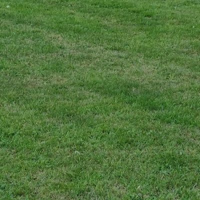 Adroberts83Adam's profile picture. 