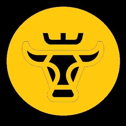 TorocoinToken's profile picture. meme token,