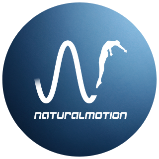 Find out about games, jobs, people and life #LifeAtNaturalMotion