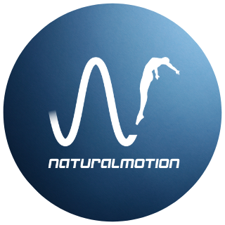 NaturalMotion Games (@NMGames) / X