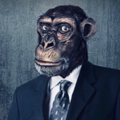 TheMonkeyCrypto Profile Picture