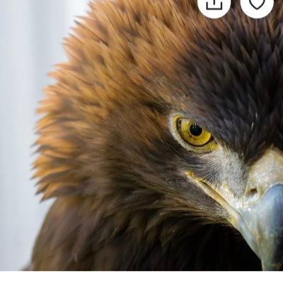 jalapenojam's profile picture. Southern Miss, #SMTTT, Common Sense, MAGA 🇺🇸