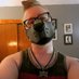 Pup_Finnegan (@pup_finnegan) Twitter profile photo Pup_Finnegan (@pup_finnegan) Twitter profile photo