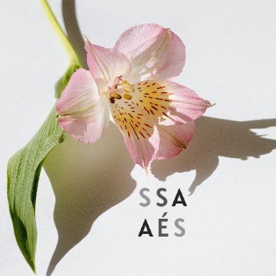 Sexuality Studies Association (SSA) Profile