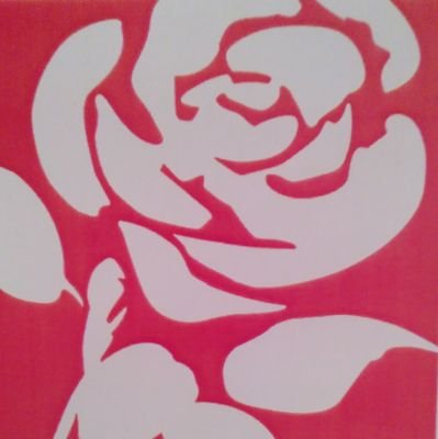 Roehampton Labour Councillors Profile