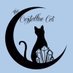 The Crystalline Cat (@_crystallinecat) Twitter profile photo The Crystalline Cat (@_crystallinecat) Twitter profile photo
