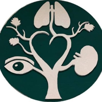 DonacionINNN's profile picture. Espacio informativo sobre temas de donación.   Brinda vida después de la vida.