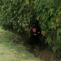 Javier Morales (@fuckerjavier) 's Twitter Profile